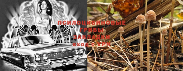 мяу мяу мука Алексин
